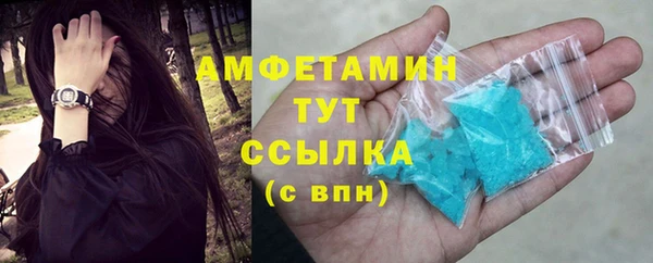 гидра Белокуриха
