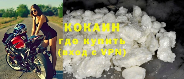 гидра Белокуриха