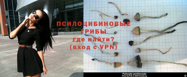 марки lsd Богородицк