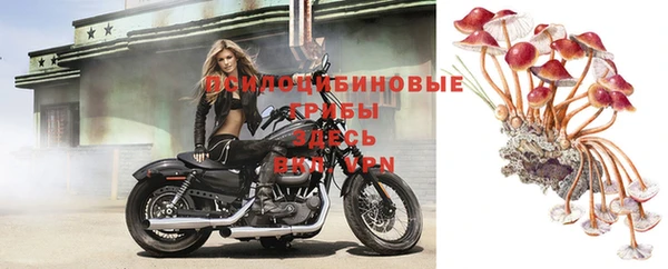 прущая мука Богданович