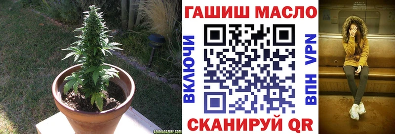 MEGA сайт  купить наркотик  Емва  Дистиллят ТГК гашишное масло 