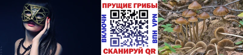 Псилоцибиновые грибы прущие грибы Емва
